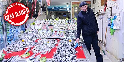 Bol Balık Çeşidi ile Kış Sofralarına Lezzet Katıyor