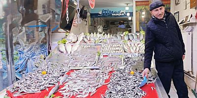 Bu Yılın Yıldızı Hamsi Oldu