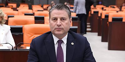 CHP’li Vekil Karagöz TBMM’de Konuştu