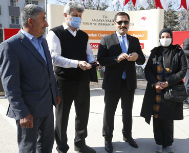 Çiftçilere Damızlık Manda Dağıtıldı