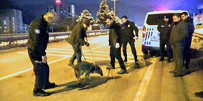 Devriye Gezen Polislerin Bulduğu Yaralı Yavru Kurt Tedaviye Alındı