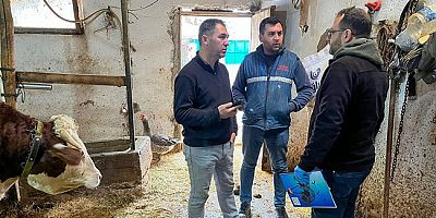 DSYB’den Merzifon’da Proje Kapsamında Saha Ziyareti