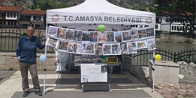 Emeklilerden Sokak Hayvanlarına Mama Desteği