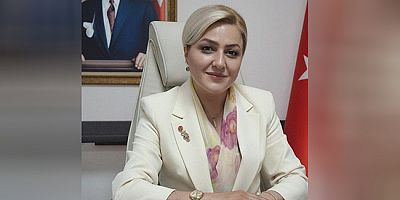 Engelli Araçlarında Yerlilik Şartına Geçici Düzenleme