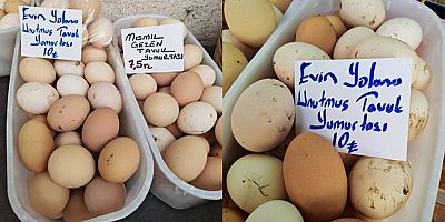 “Evin Yolunu Unutan”dan Sonra “Mısmıl Gezen” Geldi