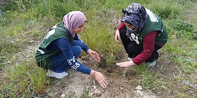 Fidanlar Toprakla Buluştu, Geleceğe Umut Yeşerdi