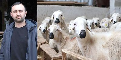 Genç Çiftçinin Azmi  19 Koyunu 400’e Çıkardı