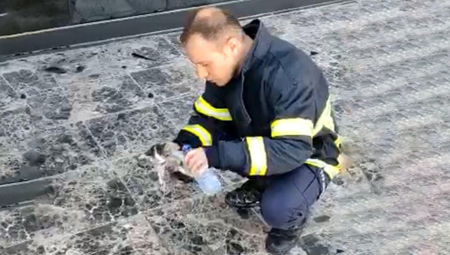 Hem Yangına Müdahale Ettiler Hem Minik Bir Canı Kurtardılar