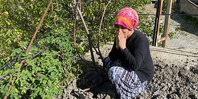 Hıdırellez’de Dilekler Gül Ağacının Altına Gömüldü