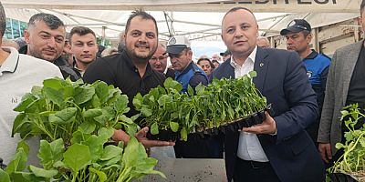 İBB’den Amasya’daki Çiftçilere  42 Bin Adet Fide Desteği