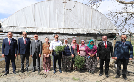 İlimiz Çiftçilerine 50 Milyon Tl Destek