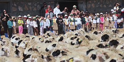 İlkokul Öğrencileri Anneleri ile Kuzuların Buluşmasına Tanıklık Ettiler