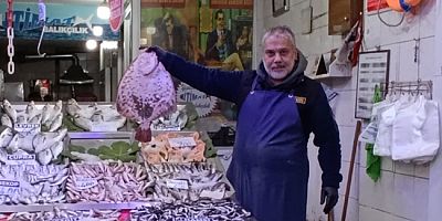 Kalkan Balığı Tezgâhlarda Yerini Aldı