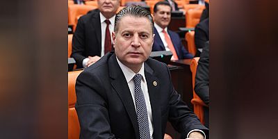 Karagöz’den Amasya  ve Tarım Odaklı Sorular