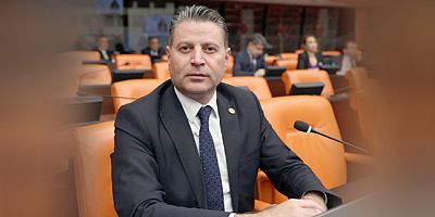 Karagöz, Talepleri  Meclis’e Taşıdı