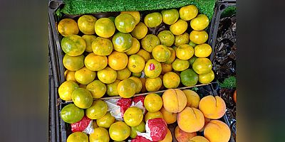 Kışın Vazgeçilmezi Mandalina Tezgahlarda Yerini Aldı