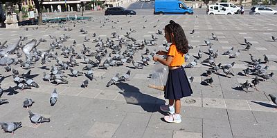 Küçük Ebrar’ın Güvercin Sevgisi Yürekleri Isıtıyor