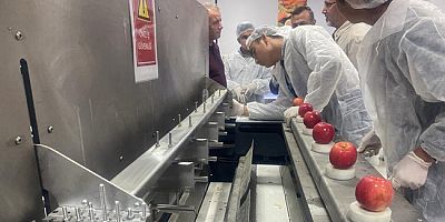 Lise Öğrencileri Sebze ve Meyveleri Kurutuyor