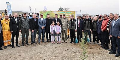 Milli Ağaçlandırma Günü’nde 4 Bin 200 Fidan Toprakla Buluştu