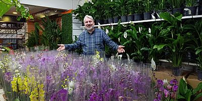 Orkide Bakımı Nasıl Yapılır?