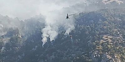 Orman Yangınında 35 Hektar Alan Zarar Gördü