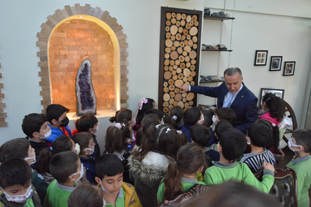 Ormanları Koruyun Ve Çoğaltın Talimatı Verdiler