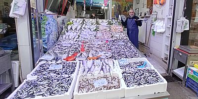 Palamut Azaldı, Hamsi Tezgâhlara Hakim Oldu