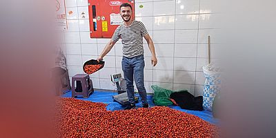 Pazarın En Dikkat Çeken Ürünü “Kuşburnu” Oldu