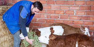 Proje Desteğiyle Hayvan Sayısını Artırdı