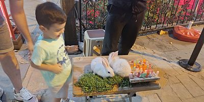 Şehzadeler Gezi Yolu’nda Niyetçi Tavşan İlgi Odağı Oldu