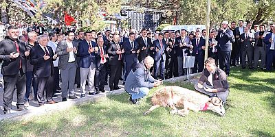 Şeker Fabrikası’nda Pancar  Alım Kampanyası Başladı