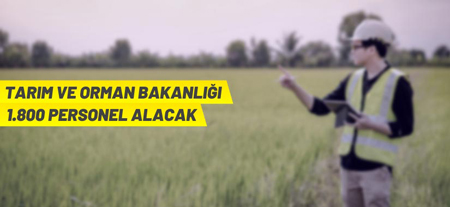 Tarım Ve Orman Bakanlığı Personel Alacak