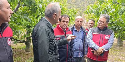Tarım Yetkilileri Zirai Don Etkilerini Değerlendirdi, Sahada Üreticilerle Buluştu