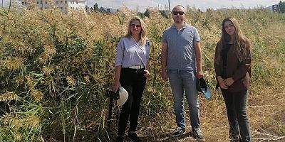 Tarımda “İstilacı Türler” Üzerine Yapılan TÜBİTAK Projesi Tamamlandı