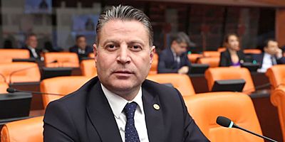 TBMM’de Kadın Cinayetlerine Dikkat Çekti