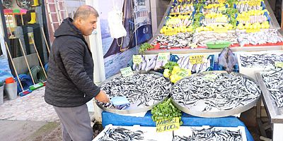 Tezgahlarda Hamsi Bolluğu: Kilosu 100 TL