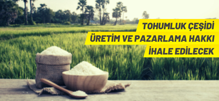 Tohumluk Çeşidinin Üretim Ve Pazarlama Hakkı Satılacak