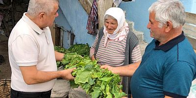 Topal; Sel Felaketinden Etkilenen Vatandaşları Dinledi