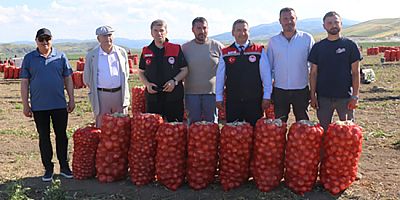 Türkiye İkincisi Amasya’da  Soğan Hasadı Başladı