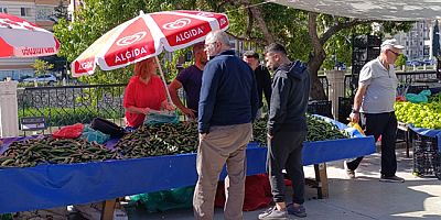 Turşu Telaşı Başladı, Kornişon Salatalığa Talep Arttı