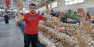 Turşu Zamanı Geldi, Sarımsaklar Tezgâhlarda