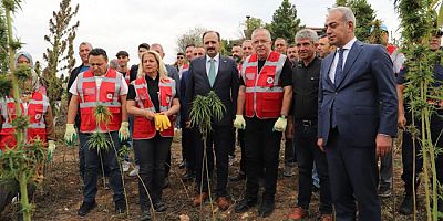 Üniversite-Sanayi İş Birliği Çerçevesinde Kenevir Hasat Şenliği Düzenlendi