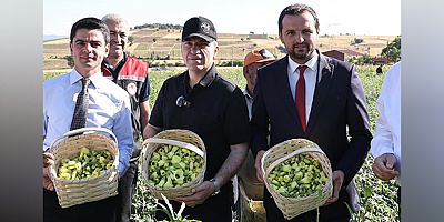 Vali Bakan, Coğrafi İşaretli Çiçek Bamyası Hasadına Katıldı