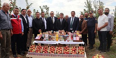 Vali Bakan ve Milletvekilleri  Elma Hasadına Katıldı