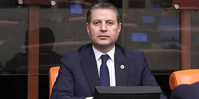 Vekil Karagöz: 