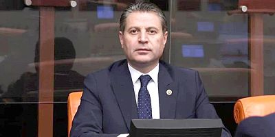 Vekil Karagöz: 