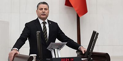 Vekil Karagöz: 