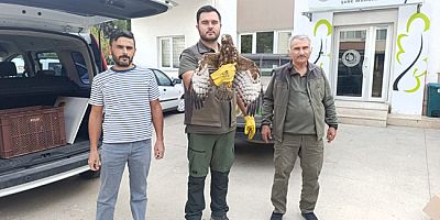 Yaralı Bulduğu Şahin’i Ekiplere Teslim Etti