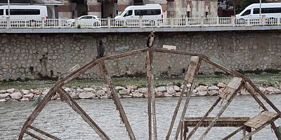 Yeşilırmak’ta Tarihi Değirmen Üzerinde Karabatak Sürprizi
