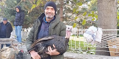 Yılbaşı Öncesi Hindiler Satışta
